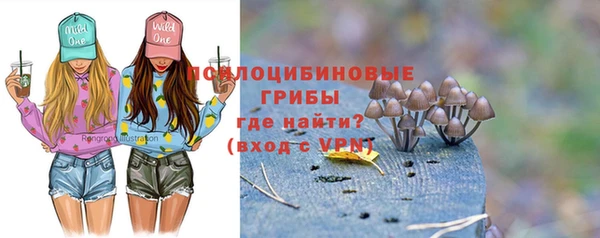 первитин Кодинск