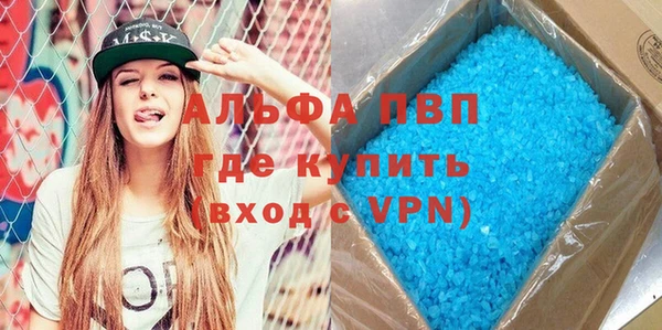 индика Козельск