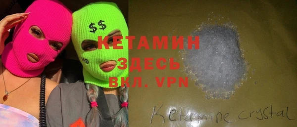 индика Козельск