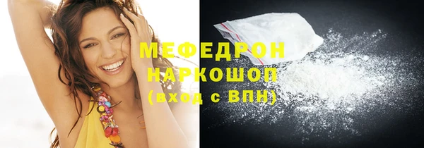 индика Козельск