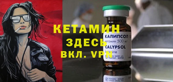 индика Козельск