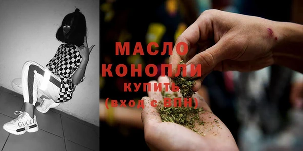 индика Козельск