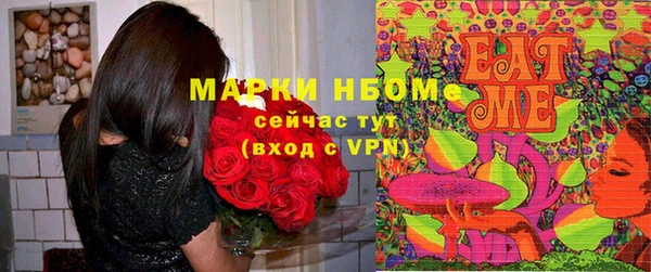 индика Козельск