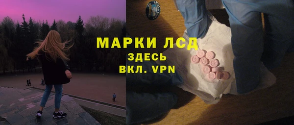 индика Козельск