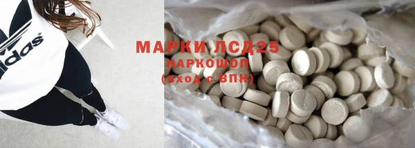 индика Козельск