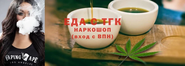 индика Козельск