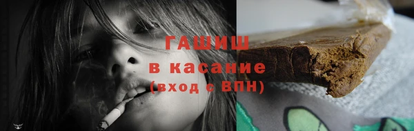индика Козельск