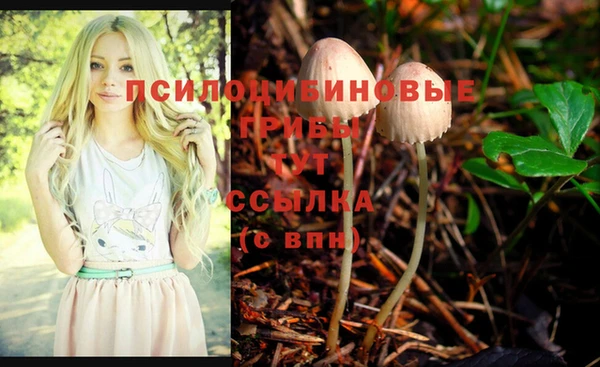 индика Козельск