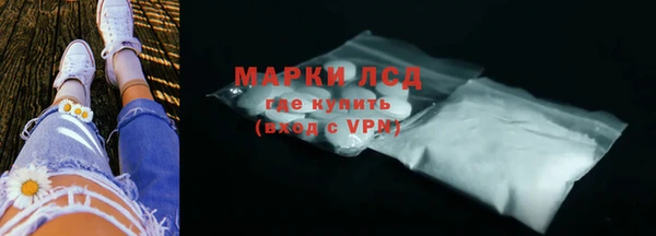 индика Козельск
