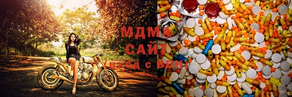 индика Козельск