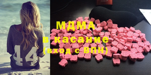индика Козельск