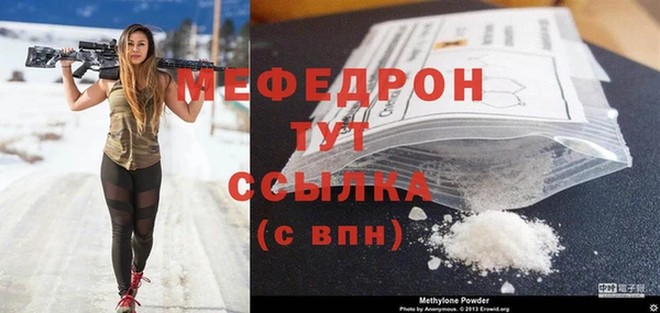 индика Козельск
