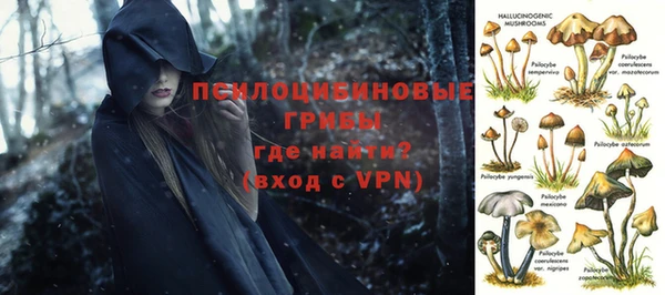 первитин Кодинск