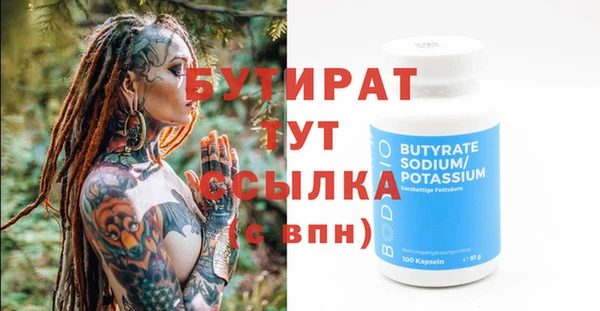 индика Козельск