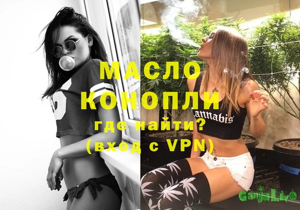 индика Козельск