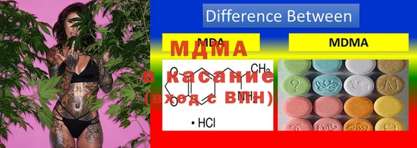 индика Козельск